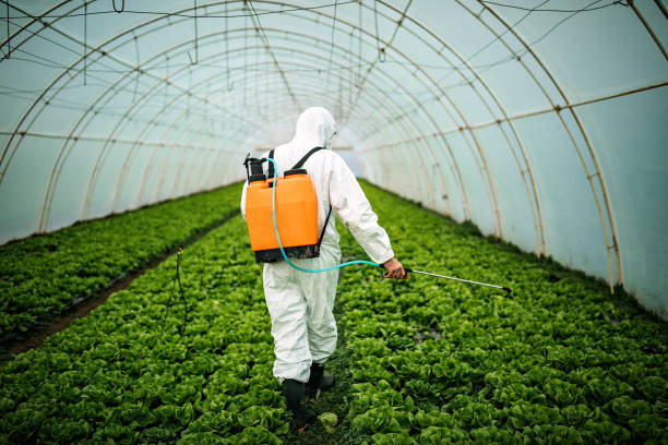 Best Residential Pest Control  in Florissant, MO