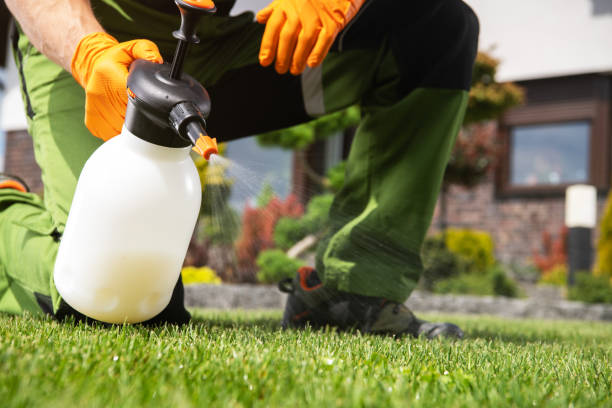 Best Bird Control  in Florissant, MO