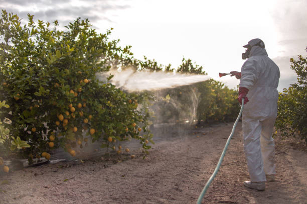 Best Affordable Exterminators  in Florissant, MO