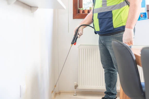 Best Flea Control Services  in Florissant, MO