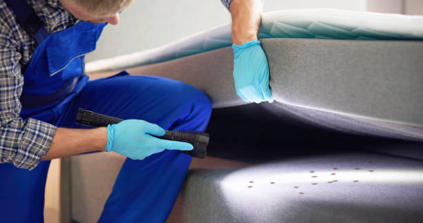 Best Flea Control Services  in Florissant, MO