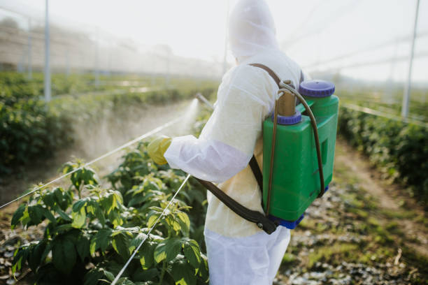 Insect Control in Florissant, MO